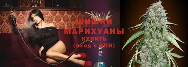 трава Арсеньев