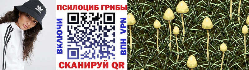 где можно купить   Нововоронеж  Галлюциногенные грибы ЛСД 